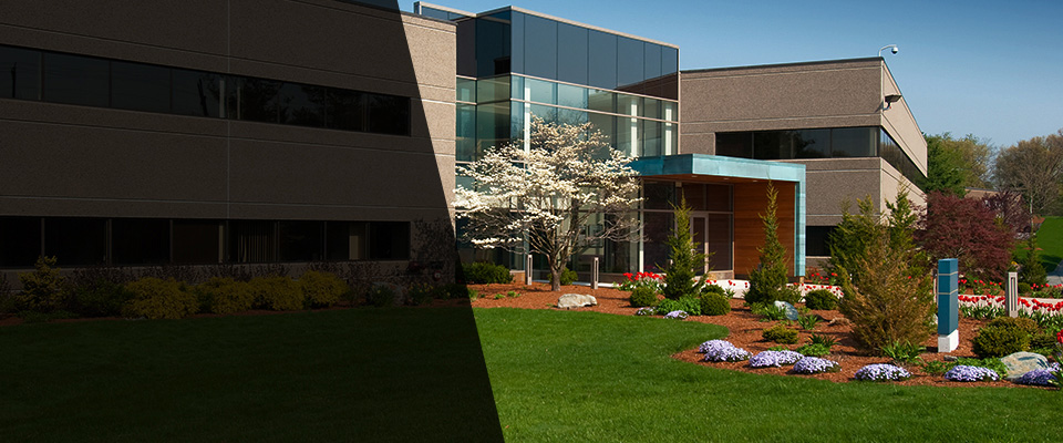 Lakefield Landscapers