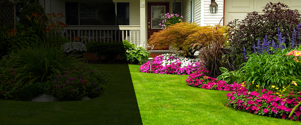 Lakefield Landscapers