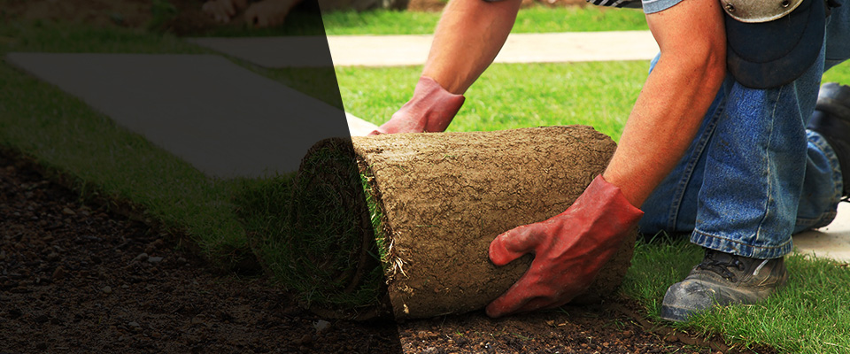 Lakefield Landscapers